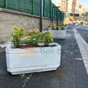 Dikdörtgen Beton Saksı Mini
