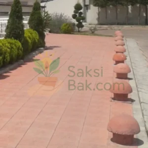 Kırmızı Mantar Duba