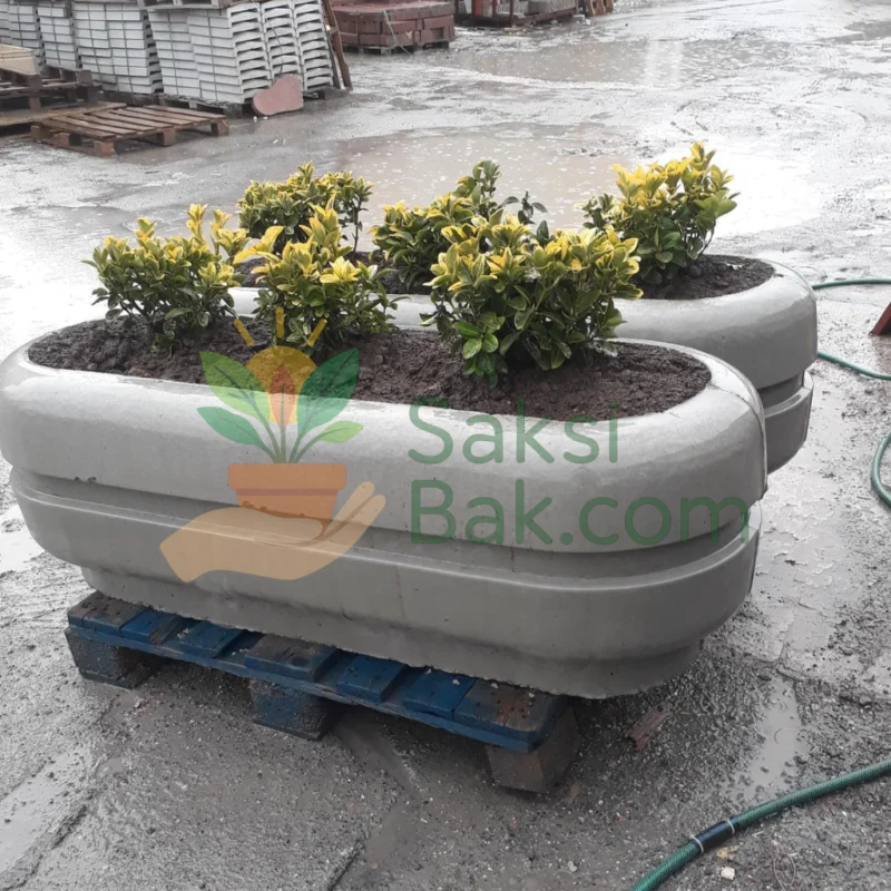 Oval Beton Saksı Max