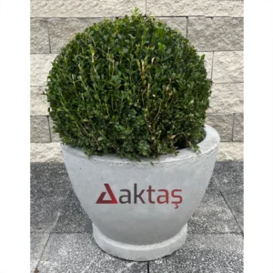 Yuvarlak Beton Saksı Midi