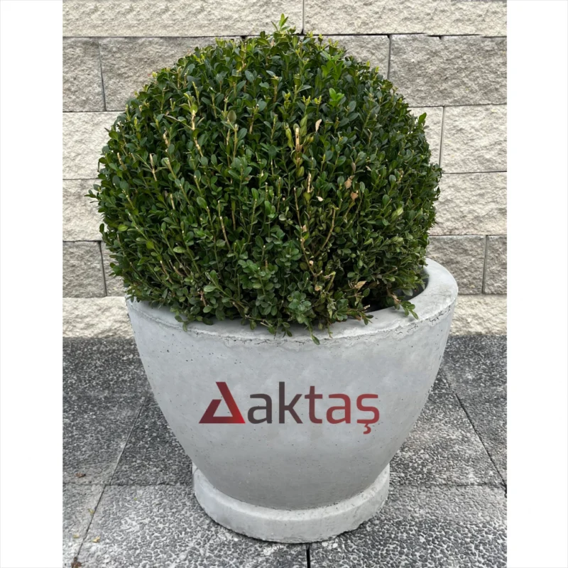 Yuvarlak Beton Saksı Midi
