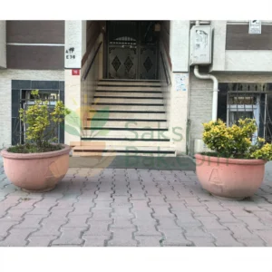 Yuvarlak Beton Saksı Mini