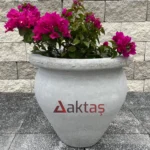 Beton Vazo Saksı